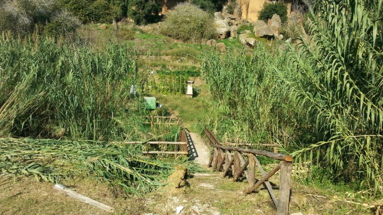 Nasce il Polo di Formazione di Protezione Civile