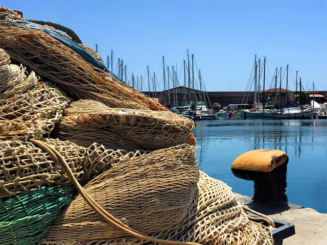 Pesca, la Regione Lazio e Arsial  lanciano l’app Appescalazio