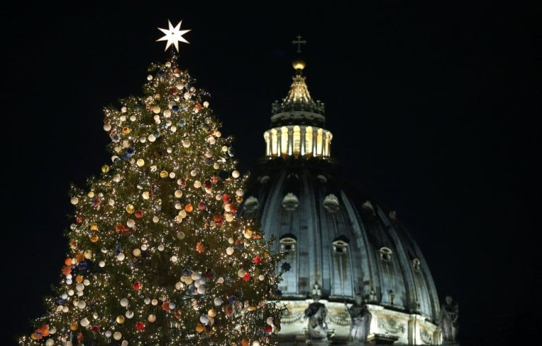 E’ arrivato in piazza San Pietro l’albero di Natale da Pordenone. Giovedì sarà posizionato