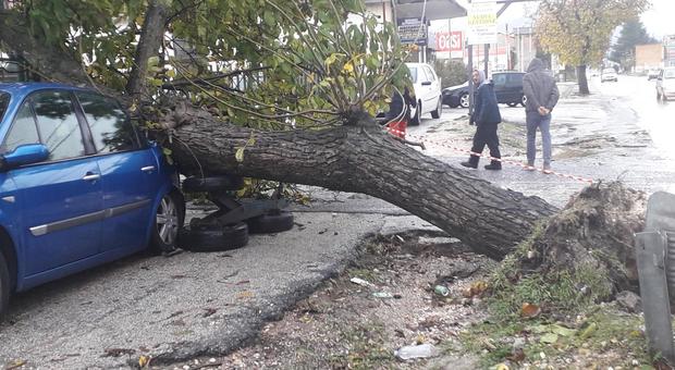 Tragedia in Val d’Aosta per il maltempo: un albero travolge e uccide due persone