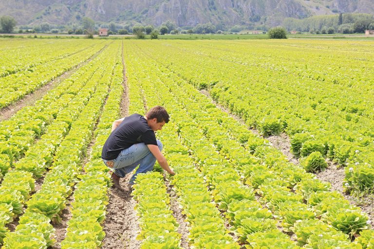 Emergenza meteo, la Coldiretti chiede il sostegno finanziario per gli agricoltori