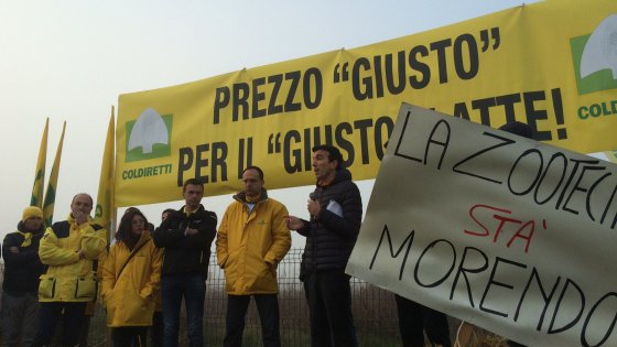 Latte, la Coldiretti del Lazio chiede l’adeguamento del prezzo