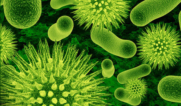 Nuovi “super batteri”, è allarme infezioni in Italia