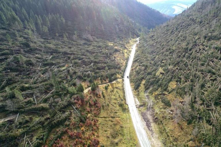 Alto Adige, proseguono i lavori per rimuovere i 160 ettari di bosco abbattuti dal vento nell’ottobre scorso