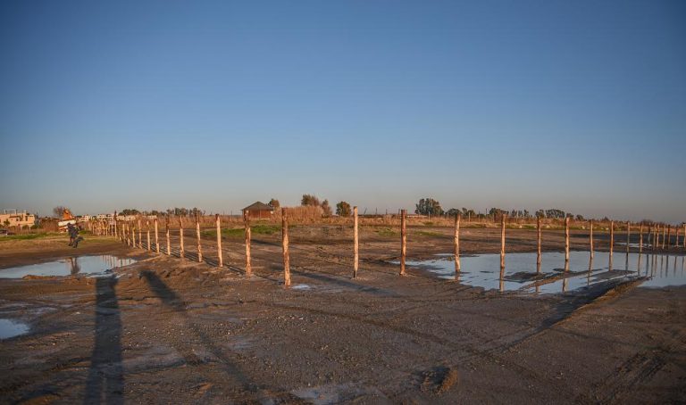 Operai a lavoro sulla recenzione dell’oasi protetta di Torre Flavia