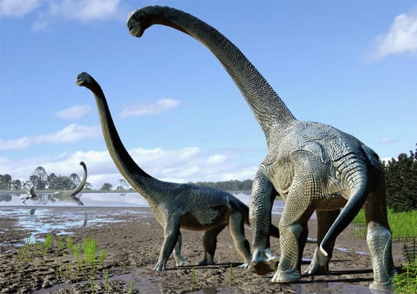 I piccoli scoprono la Paleobiologia dei Dinosauri