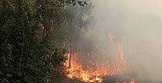 Stazzema (Lucca), un vasto incendio ha devastato cento ettari di prati e pascoli