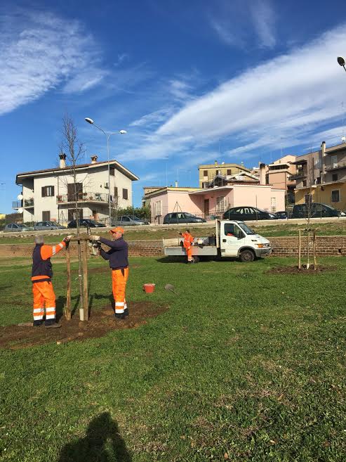 Verde pubblico, un servizio all’avanguardia