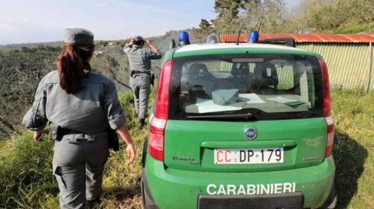 Controlli nell’area protetta del Litorale, sgomberata una baraccopoli