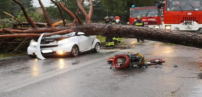 Termoli, decine di alberi abbattuti per le forte raffiche di vento