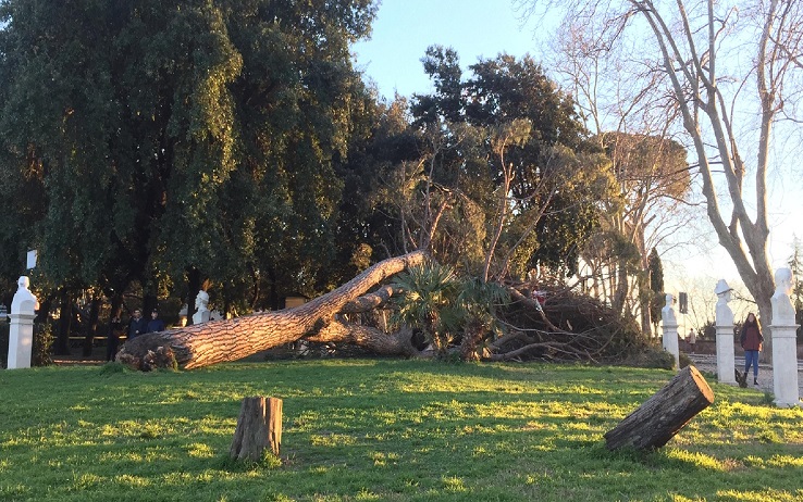 Roma, oltre 190 interventi dei pompieri per il forte vento che ha danneggiato alberi, pali, antenne e cornicioni