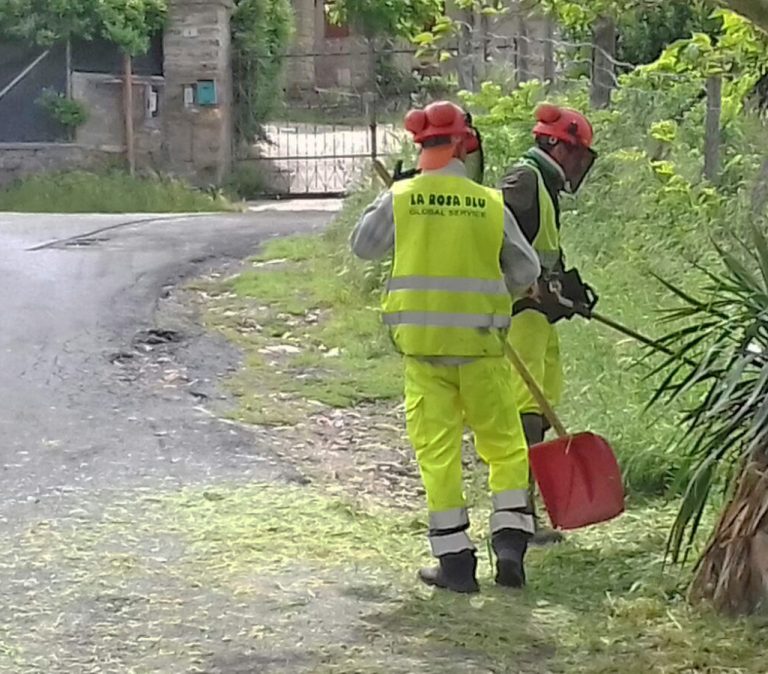 Roma Capitale in campo per pulire l’area verde di via Igino Gordiani