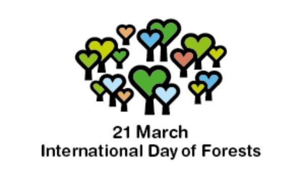 Giornata Internazionale delle Foreste: sfruttare il satellite per preservare la foresta vergine