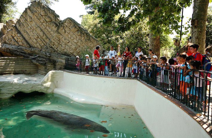 Bioparco, Roma: progetto di alternanza scuola lavoro con Liceo Scientifico Statale Nomentano