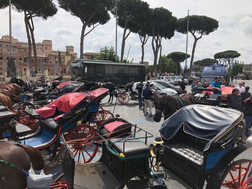 Roma, tenta di rubare una botticella a Piazza Venezia: fermato dalla Polizia Locale