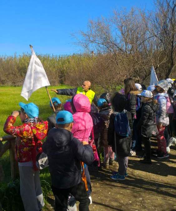 Cittadamare: sabato alle ore 12.00  visita guidata alla palude di Torre Flavia