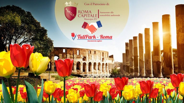 La “Città eterna” invasa da migliaia di tulipani olandesi