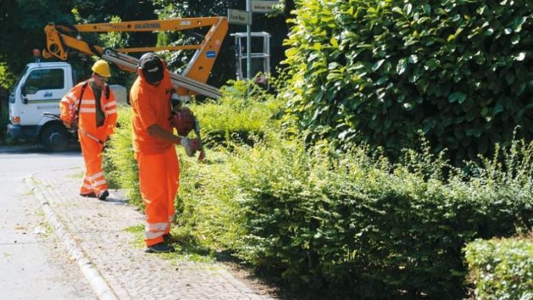 Multiservizi, online i nuovi interventi sul verde della prossima settimana