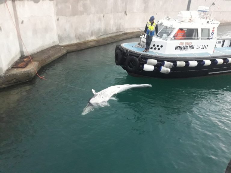 Protezione del mare e Turismo ecosostenibile