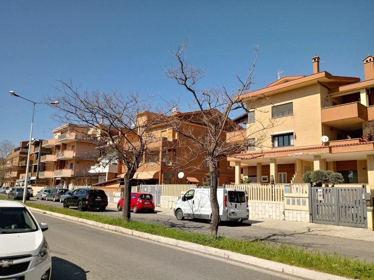 Capitozzatura delle alberature, il M5S contro le operazioni svolte in città