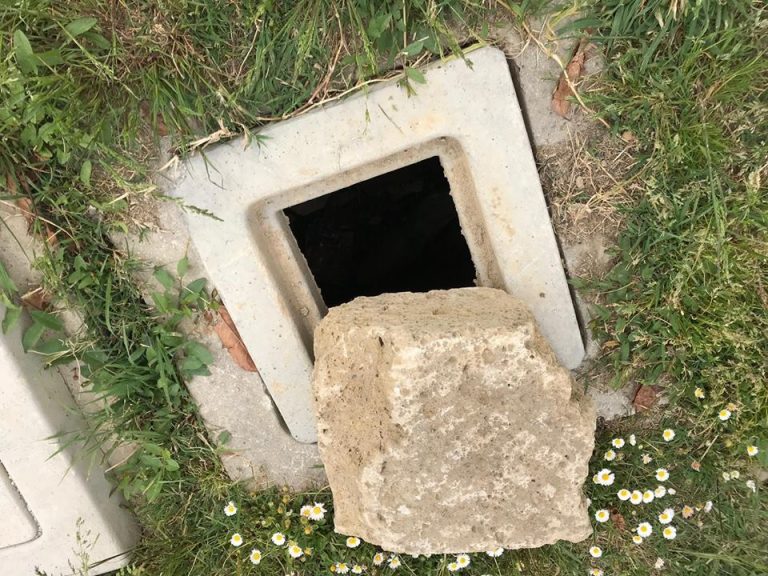 “Parco Borsellino versa nel degrado”