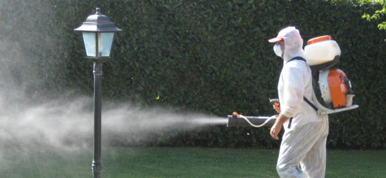 Regione Lazio, scatta il Pieno anti-zanzare (maggio-novembre)