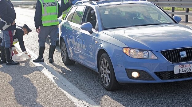 Lamezia Terme (Catanzaro), morto un 73enne travolto da un camion sull’autostrada A2