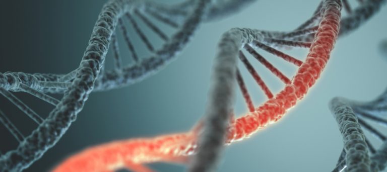 Svizzera, è stato creato al computer il primo genoma di un organismo vivente