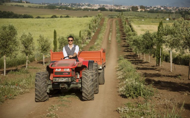 Comune di Marino: incentivi per avvio di aziende agricole