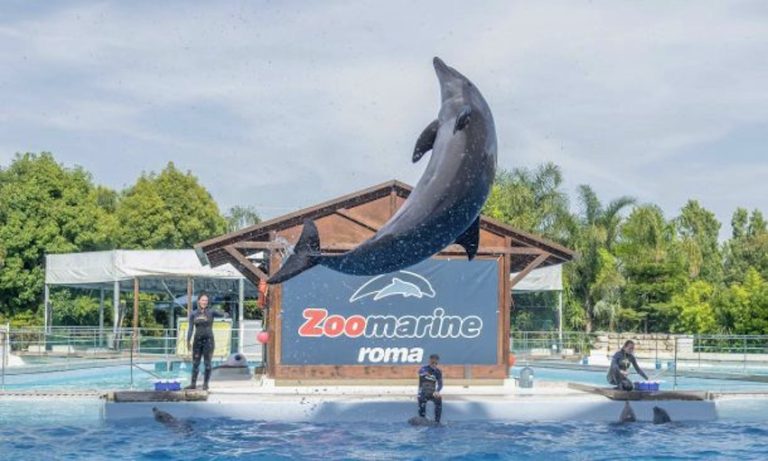 Zoomarine tra youtubers e nuovi investimenti