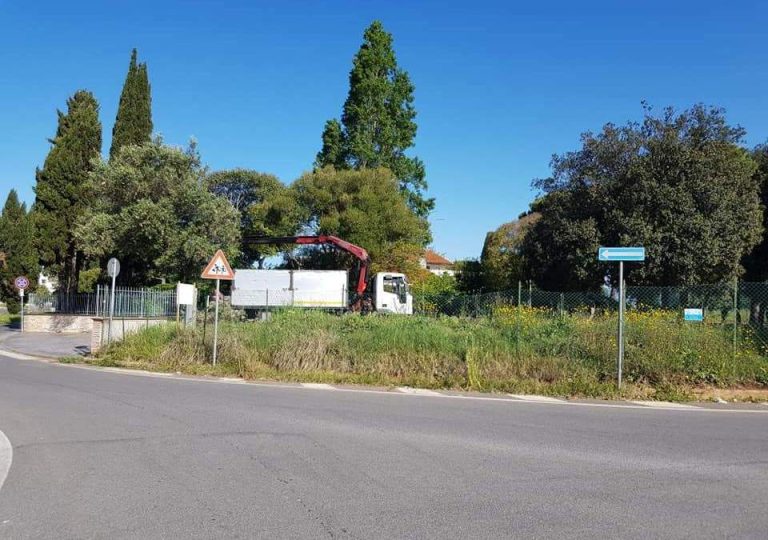 Cerenova, Area Verde Largo Tuchulca: lavori in corso sulle alberature