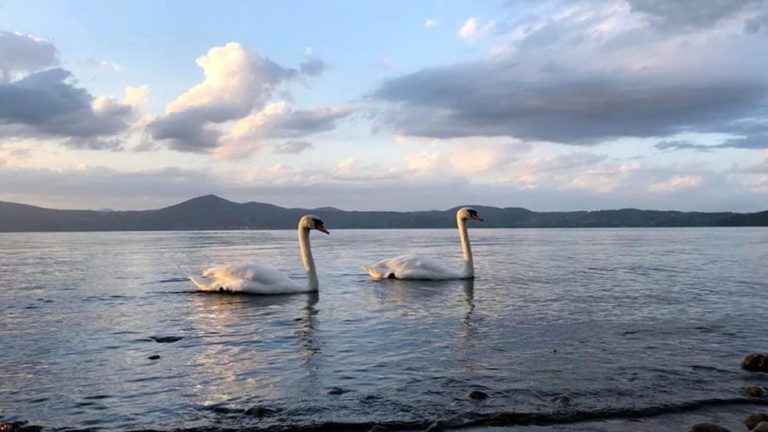 Idee per il lago di Bracciano e il suo emissario performanti