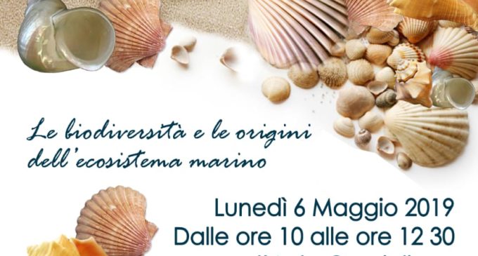 Divulgazione Scientifica: dai Vulcani alle Conchiglie, fino all’origine dell’ecosistema marino