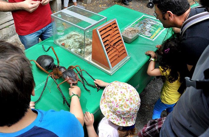 ‘Millepiedi, Insetti & Co.’ al Bioparco di Roma 