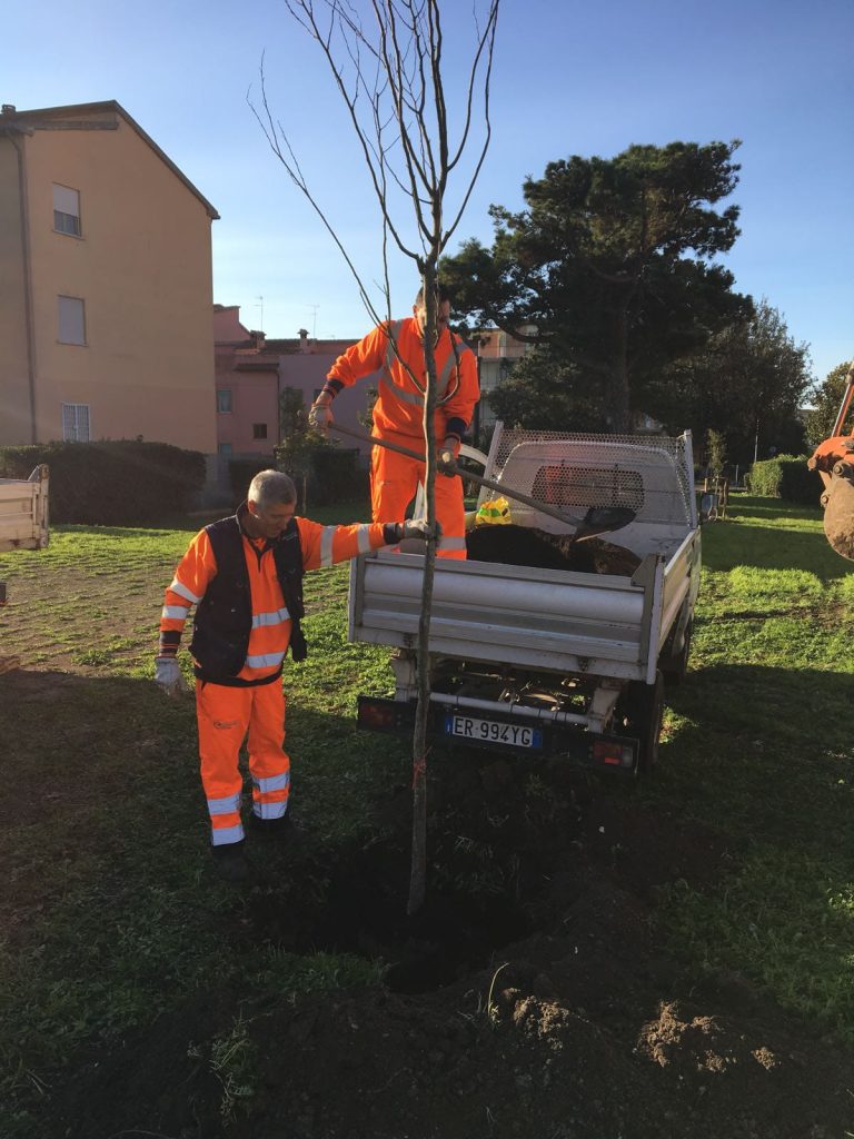 Multiservizi, causa maltempo rinviato al 4 giugno abbattimento e fresatura ceppaie su via Settevene Palo