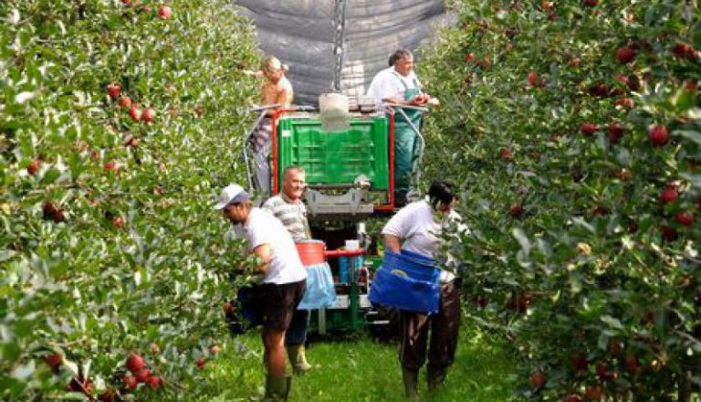 Trentino Alto Adige, morti due agricoltori