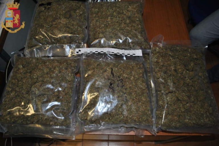 Nascondeva 12 kg. di marijuana e 30 gr. di cocaina. Sequestrati anche 2 mila euro. Arrestato dalla Polizia di Stato un 42enne