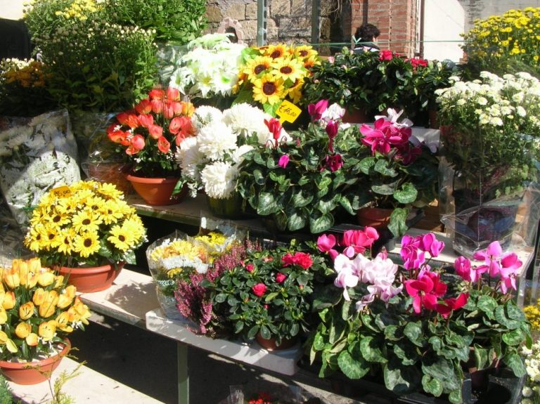 Torre Annunziata (Napoli), ‘pizzo’ al mercato dei fiori: arrestate sette persone