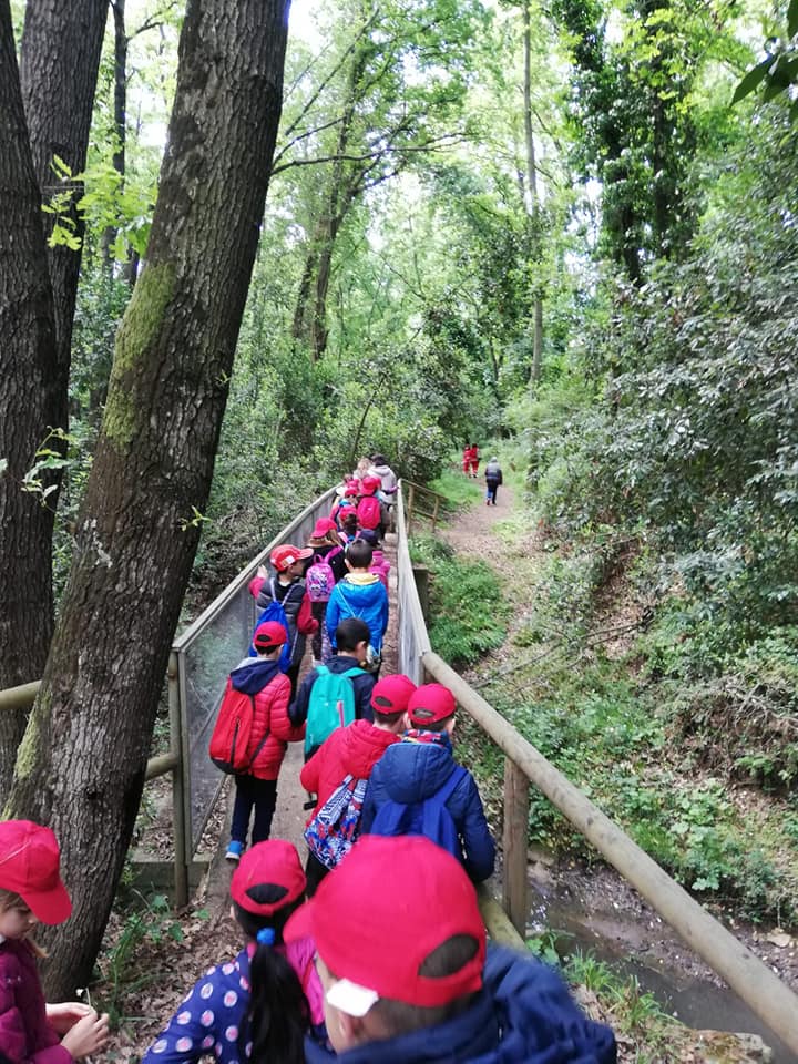 Terminate le uscite al bosco di Valcanneto