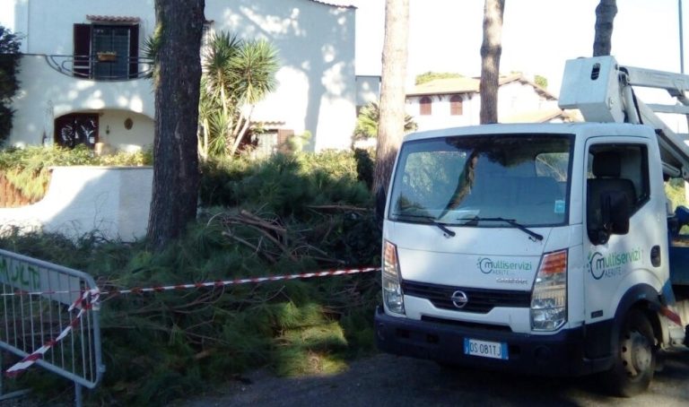 Multiservizi, online il report attività su verde e illuminazione di maggio 2019