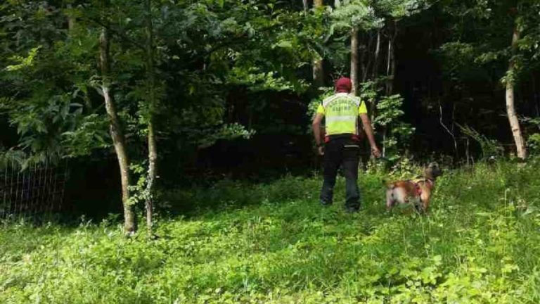 Villarfocchiardo (Torino), trovato privo di vita il 65enne disperso da ieri nei boschi