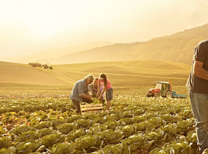 Agricoltura, approvata la legge regionale sui Biodistretti nel Lazio