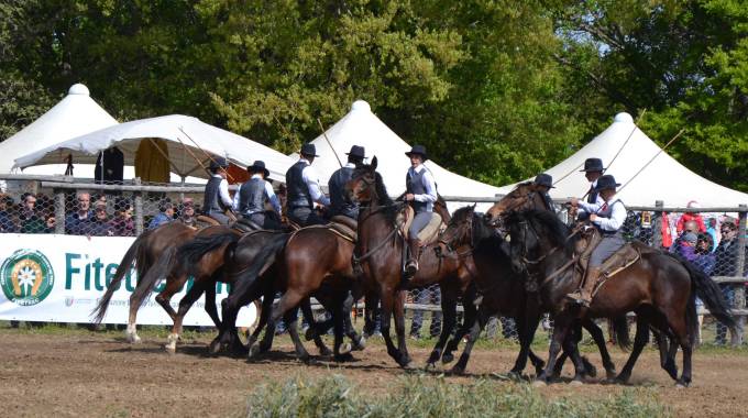 Festa della Maremma, tutto il programma dal 21 giugno