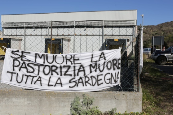 Sassari, in arrivo una pioggia di multe per gli assalti ai caseifici e alle cisterne del latte