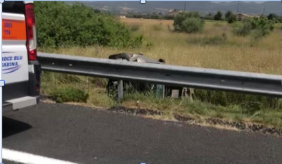 Incidente stradale sull’Aurelia