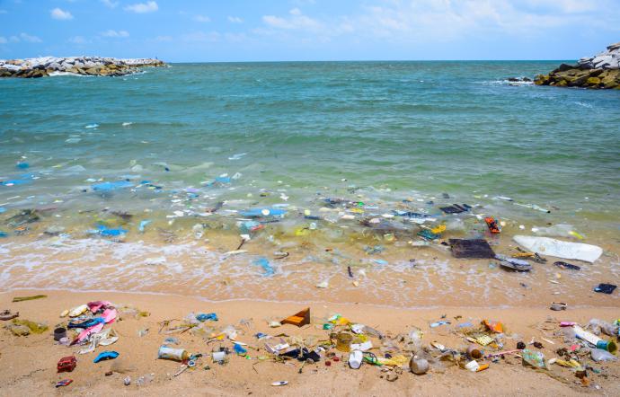 Plastic Free domattina sulla spiaggia di Marina di Palo con Scuolambiente
