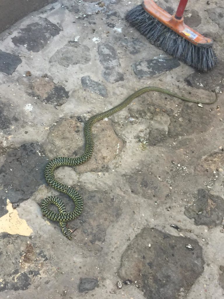 Cerveteri, incontri del “terzo tipo”