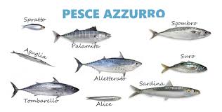 Alimentazione: gli italiani dicono ‘addio’ al pesce azzurro. Gli esperti: “E’ un errore non mangiare alici e sgombri”