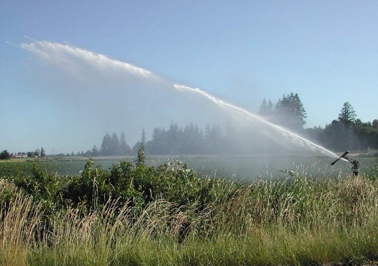 Il vice sindaco Zito contro i Consorzi, ma…?