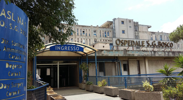 Napoli, ancora formiche all’interno dell’ospedale San Giovanni Bosco